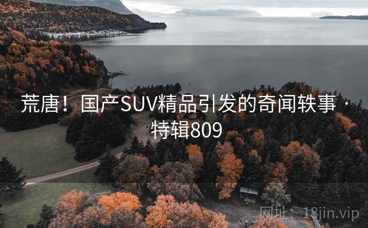 荒唐!国产SUV精品引发的奇闻轶事 · 特辑809 荒唐!国产SUV精品引发的奇闻轶事 · 特辑809